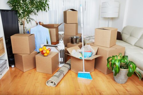 Move In Move Out Cleaning Services