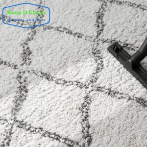 Area Rug Cleaning Service in Coral Gables