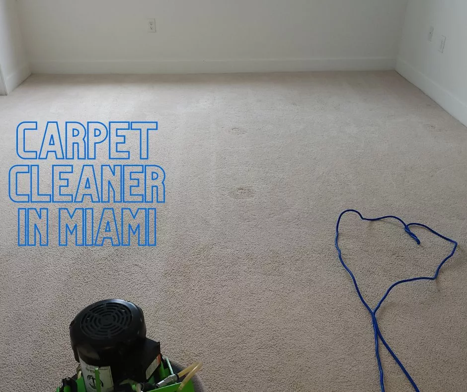 Miami Carpet Cleaners