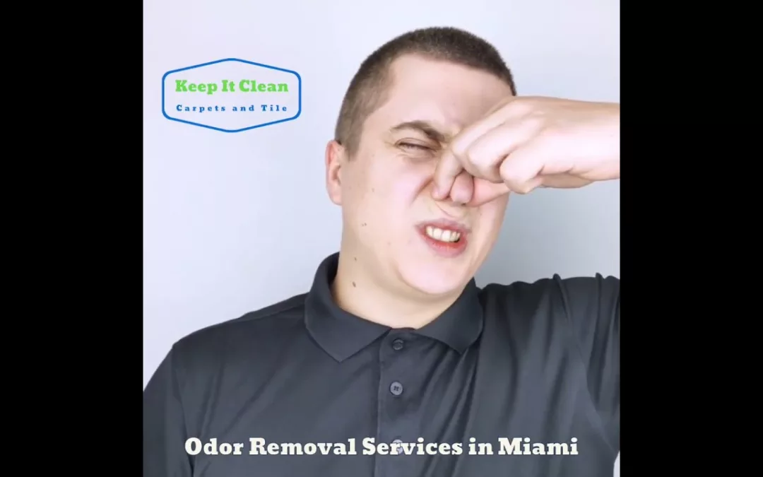 Miami Odor Pros