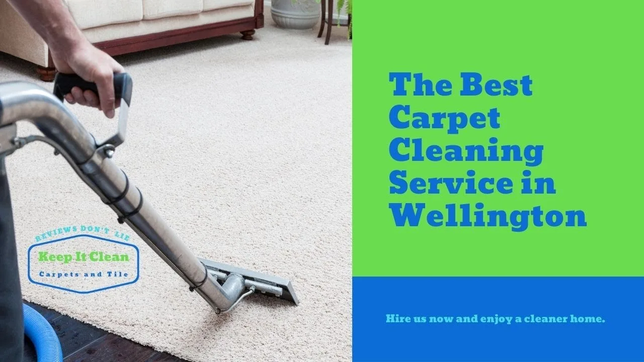 Carpet Cleaning Service in Wellington
