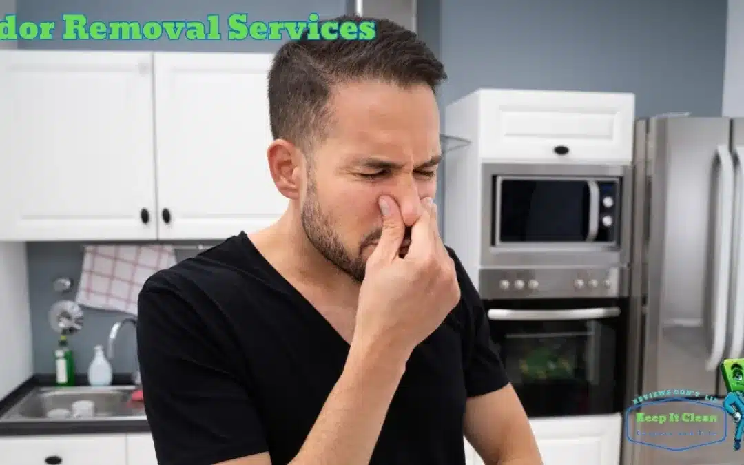 Odor Removal Service in Kendall