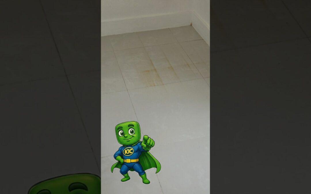 Rust stains left by metal dog crates on a tile floor in Cutler Bay