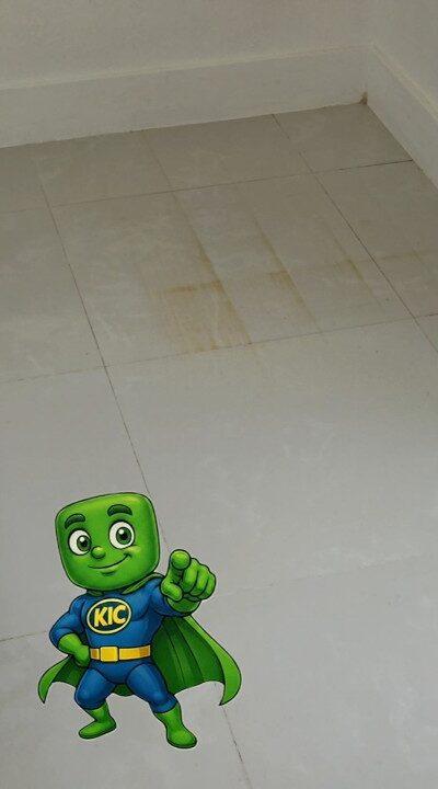 Rust stains from metal dog crates on a Cutler Bay tile floor, before the work