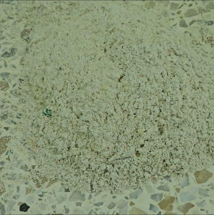 Slurry on a terrazzo floor during diamond honing in Cutler Bay